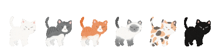 Cat Sticker