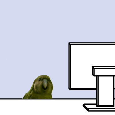 parrot GIF