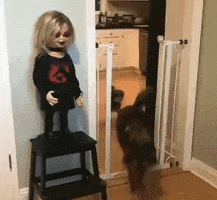 Scary GIF