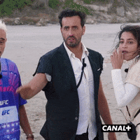 Stop Lol GIF by CANAL+