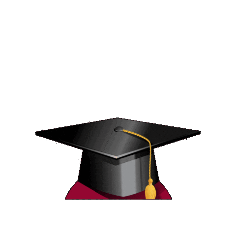 Lewis University Sticker