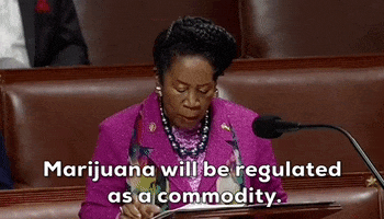 House Of Representatives Weed GIF by GIPHY News