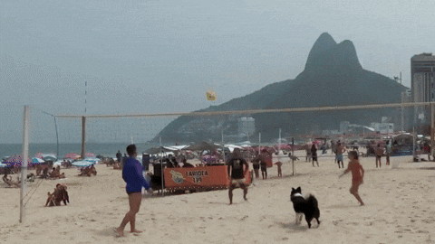 Animated GIF - Find & Share on GIPHY