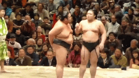Image result for sumo wrestling animated gif