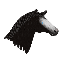 Horse Pony Sticker by winterlichtmalerei