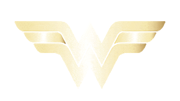 Wonder Woman Logo Sticker by Vice Cosmetics