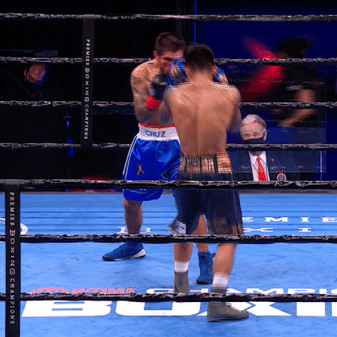 Knockout Fighting GIF by Premier Boxing Champions