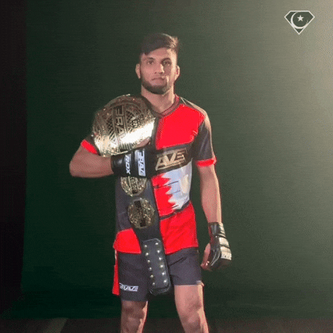 Ufc Pakistan GIF