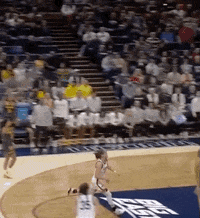 2023-march-madness GIFs - Find & Share on GIPHY