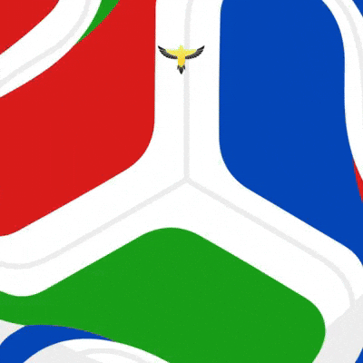 World Cup Soccer GIF by Lincoln Goldfinch Law