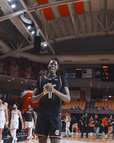 College Of Charleston Cougars GIF by Charleston Basketball