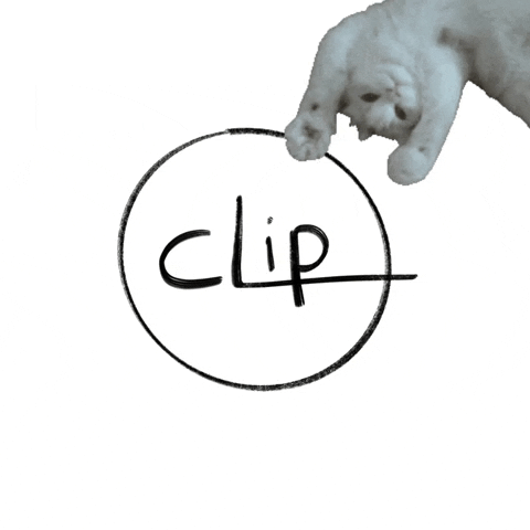 Clip Sardinia GIF by Abinsula