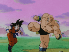 Dragon Ball Z GIF