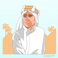 lawrence of arabia fox GIF by Animation Domination High-Def