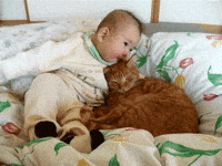 Kiss Me Please Sticker For Ios Android Giphy
