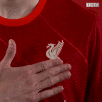 Premier League Smiling GIF by Liverpool FC