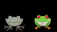 frog-crazy-mrtrab-KAFJv2xYxdZxP39b2K