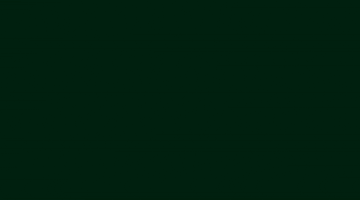 Elfwatch GIF by Wunder