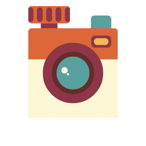 Camera Sticker