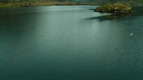 Fun Correr GIF by DeAPlaneta - Find & Share on GIPHY