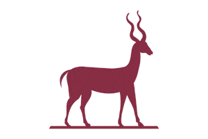 Studio Antelope Sticker