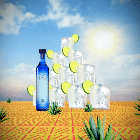 Art Fun GIF by Milagro Tequila