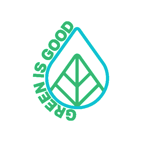 Mint Eco Car Wash Sticker