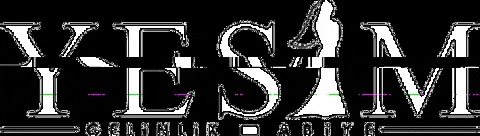 Yesimgelinlikmodaevi GIF