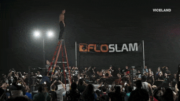 smash damian abraham GIF by THE WRESTLERS