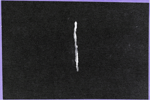 X Amount Records GIF