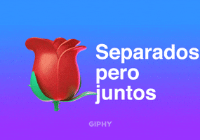Separados Pero Juntos GIF by GIPHY Cares