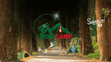 hobicamp fire adventure tree camping GIF