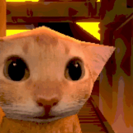 Cat GIF