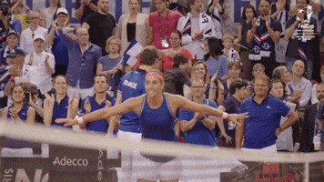 Flying France GIF by Fed Cup by BNP Paribas