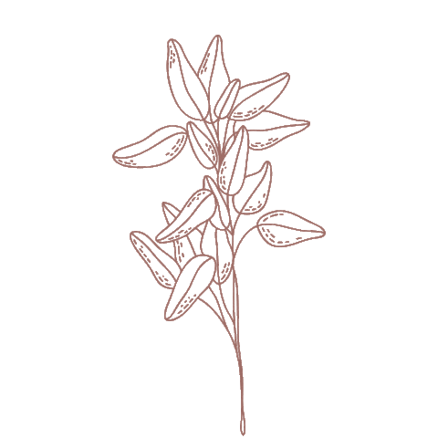 Herb Sticker by Muetzenmafia