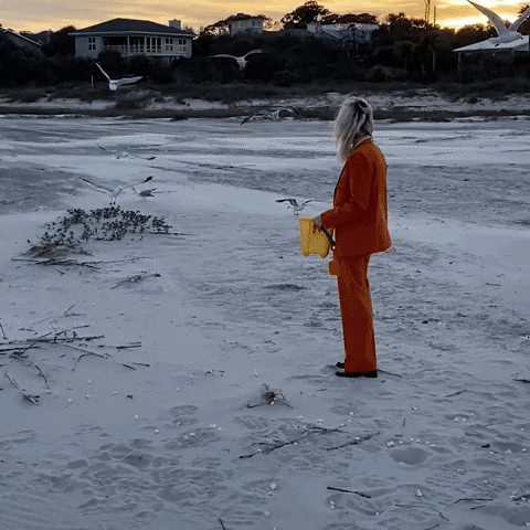 Beach Orange GIF by Liza Anne