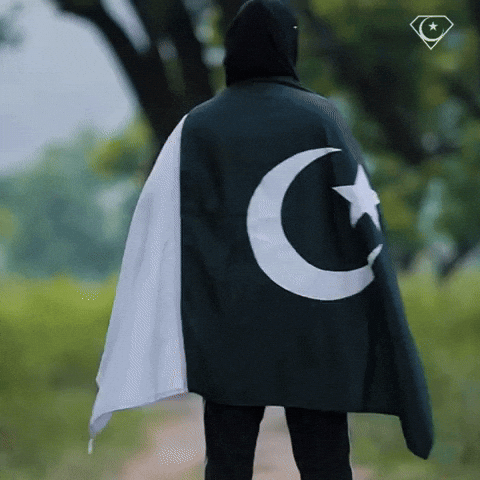 Mma Pakistan GIF