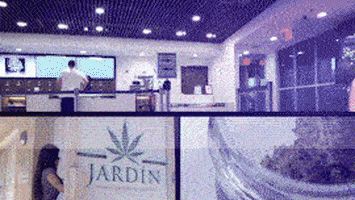 Weed Sativa GIF by Jardin