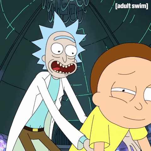 Season 1 Morty Smith GIF by Rick and Morty