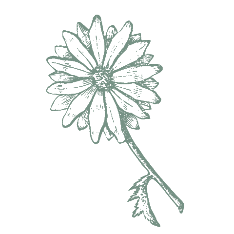 Nature Sticker