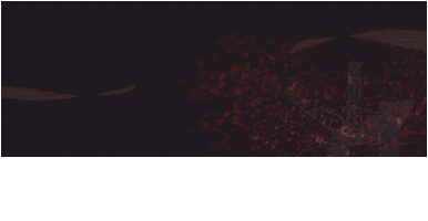 Brasil off shore Sticker