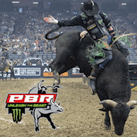Mechanical Bull Riding Gif