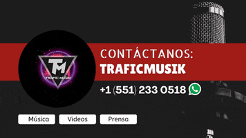 TraficMusik GIF