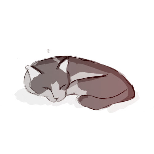 Cat Sleeping GIF by hoppip - Find & Share on GIPHY
