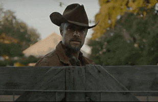 The Lost Husband GIF