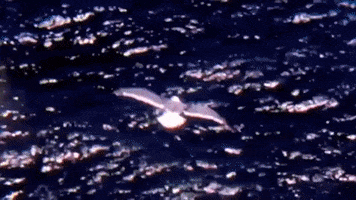 GIF by Brave Church