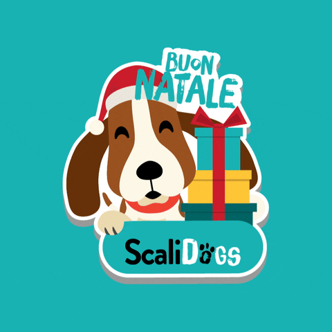 Dog Christmas GIF by Scalidogs