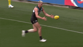 Goal Of The Year Celebration GIF by Port Adelaide FC