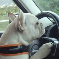 Nighr Driving GIFs - Get the best GIF on GIPHY