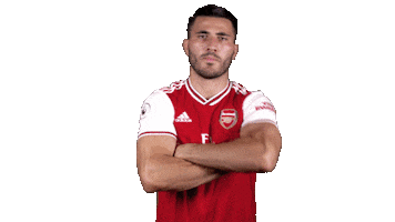 Arsenal Sticker